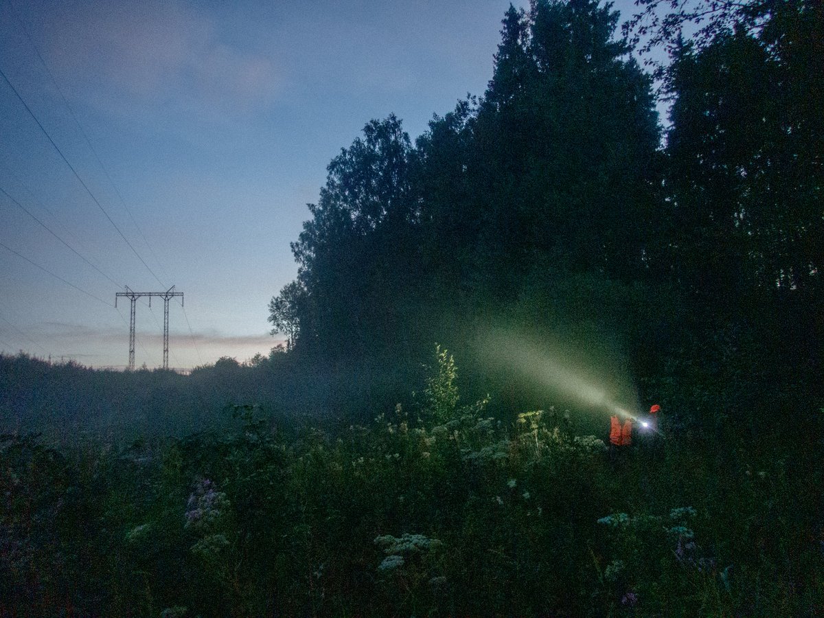 Alexander Sayganov tweet media