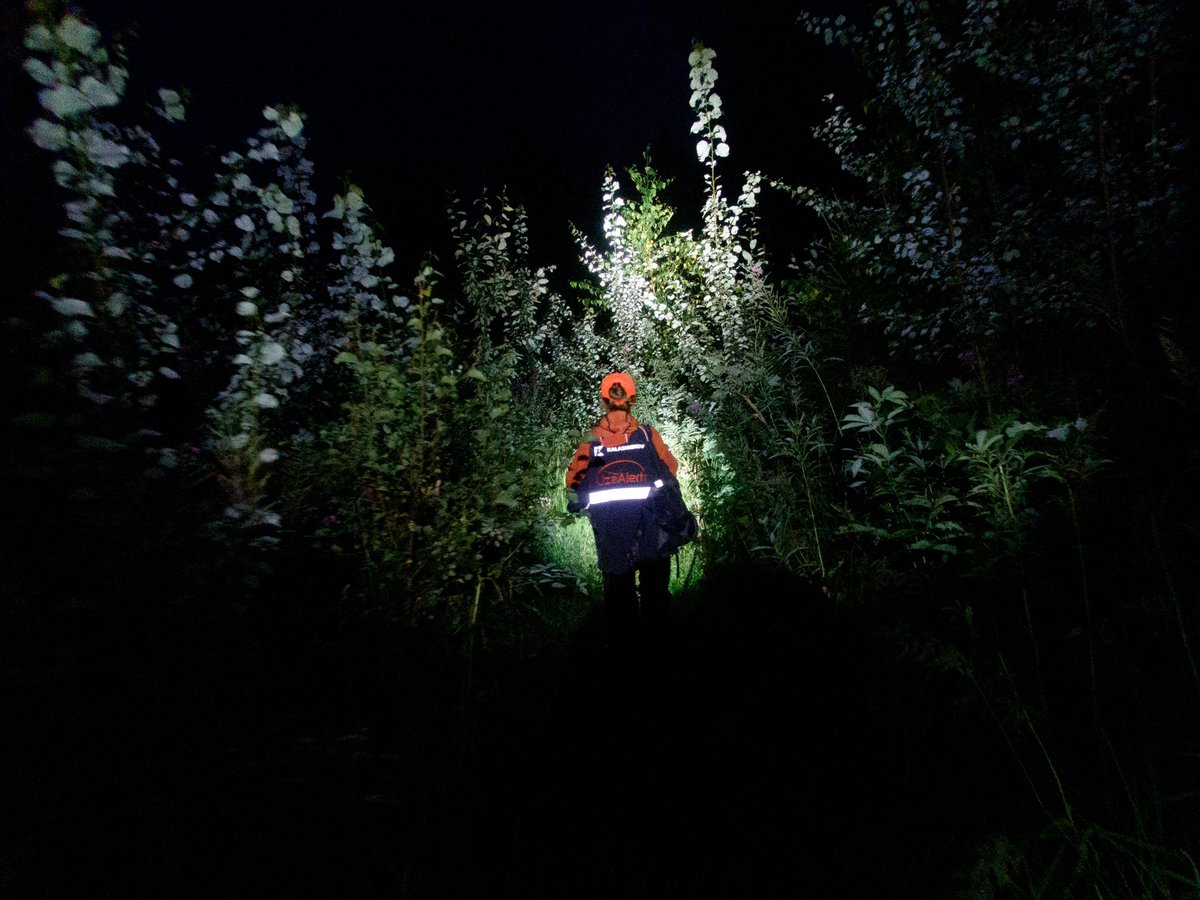 Alexander Sayganov tweet media