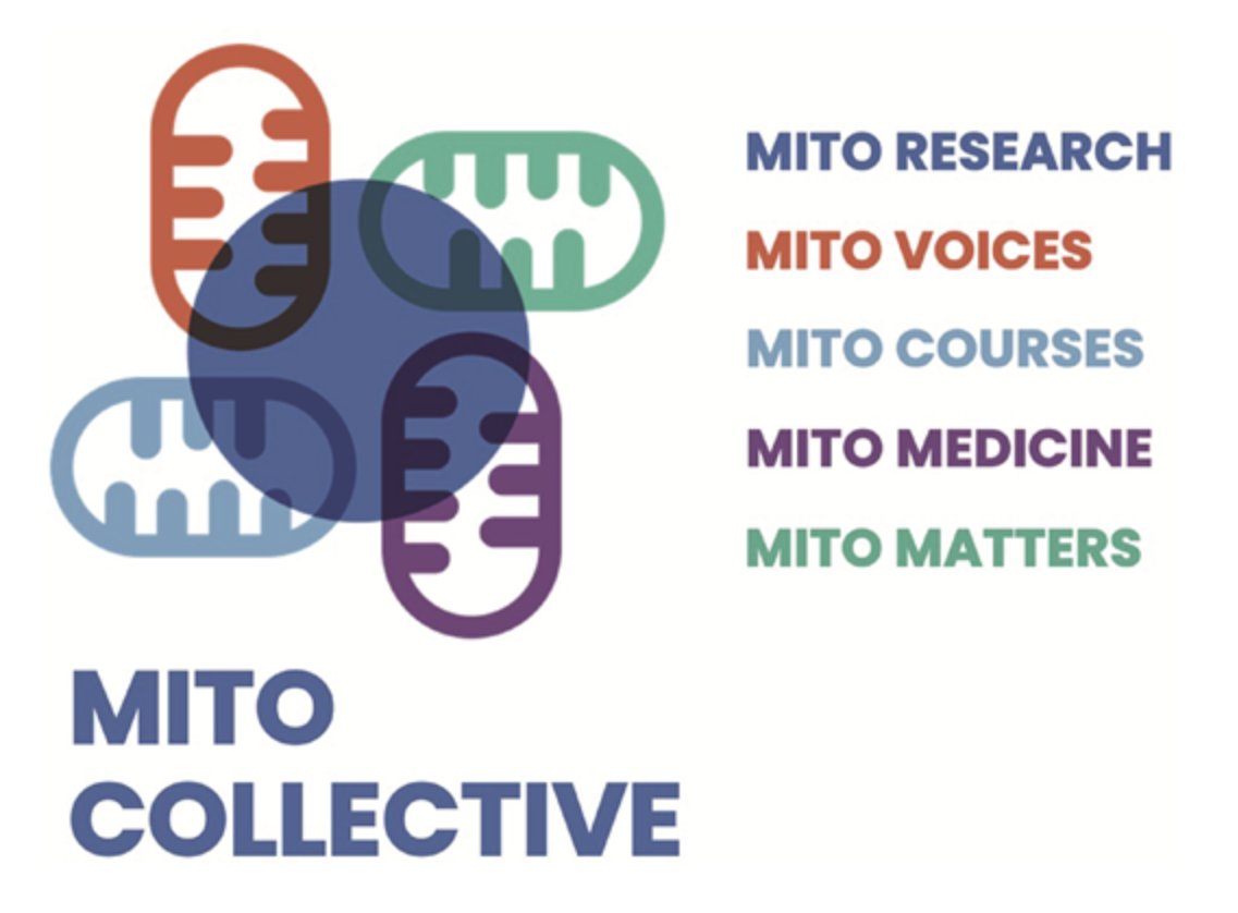 The article titled Mitochondria and Us: From Exploration to Global Collective written by Reader in Transdisciplinary Design Innovation Elio Caccavale and Innovation Leadership Fellow Dr Michael Pierre Johnson has been published on The Biochemist website. portlandpress.com/biochemist/art…