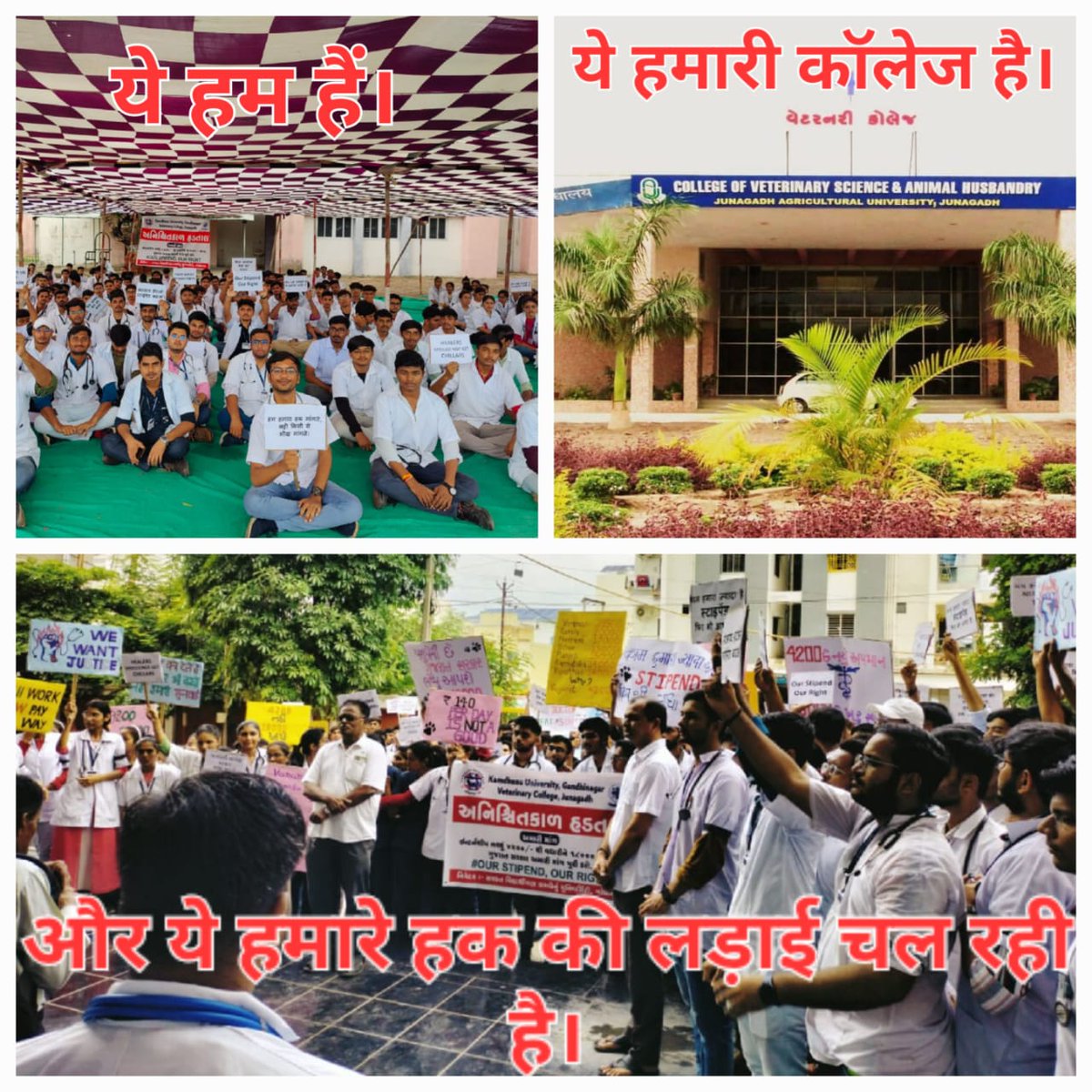 Increase vet stipend from 4200 to 18000
#Strike_for_18k_stipend
#KU_Vet_Dr_on_strike
#Increase_Guj_Vet_Stipend
#Guj_veterinary_students_on_strike  #IncreaseInternshipAllowance 
#Guj_vet_union  
<a href="/PMOIndia/">PMO India</a> <a href="/CMOGuj/">CMO Gujarat</a> <a href="/narendramodi/">Narendra Modi</a> <a href="/AmitShah/">Amit Shah</a> <a href="/CRPaatil/">C R Paatil</a> <a href="/JPNadda/">Jagat Prakash Nadda</a> <a href="/RaghavjiPatel/">Raghavji Patel</a> <a href="/PRupala/">Parshottam Rupala</a>