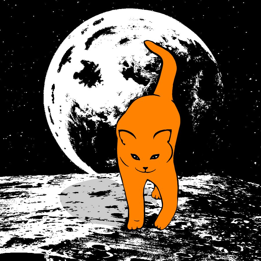 Orange space cat🧡🐈‍⬛
1/1 NFT 
#nft #NFTCommunity #NFTsales
#NFTcollections #nftcollector
#art #cat #space #spacecat  opensea.io/assets/matic/0… через <a href="/opensea/">OpenSea</a>