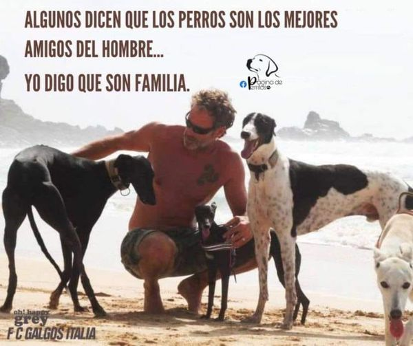 <a href="/MariaAn62044642/">MariaAntonia</a> donde andas