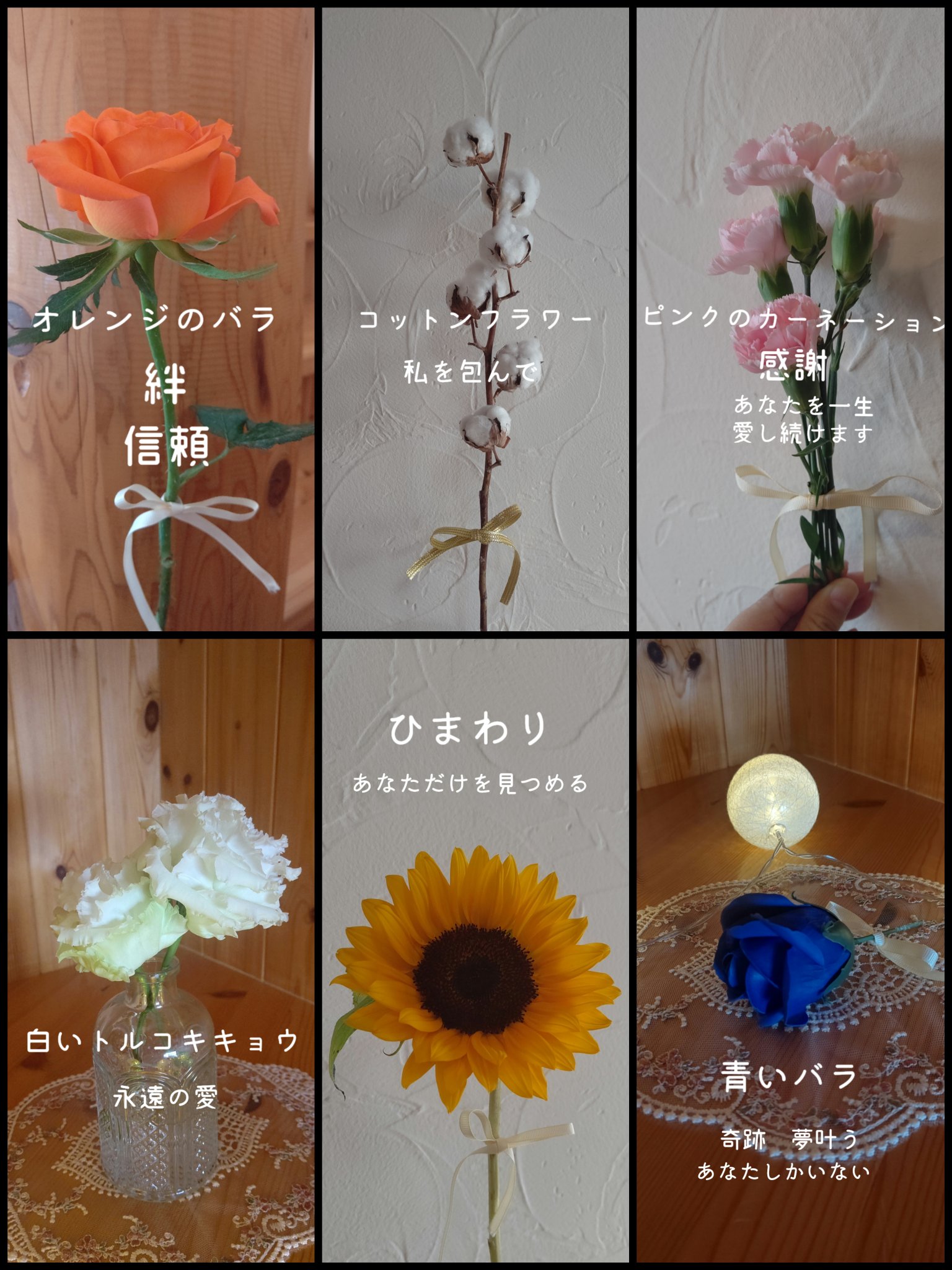 Fumi 8 4th Live 映像に使ったお花 花言葉 と引用した画像 はこちらから 一部除く T Co Cc5s6mfn6r Weneednissy Nissy 9thanniversary ﾄﾙｺｷｷｮｳ以外は Ineedyou と同じお花を使いました T Co