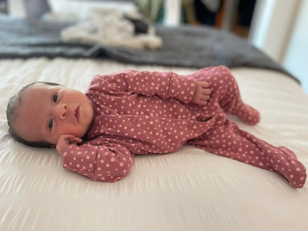 Connor Young tweet media