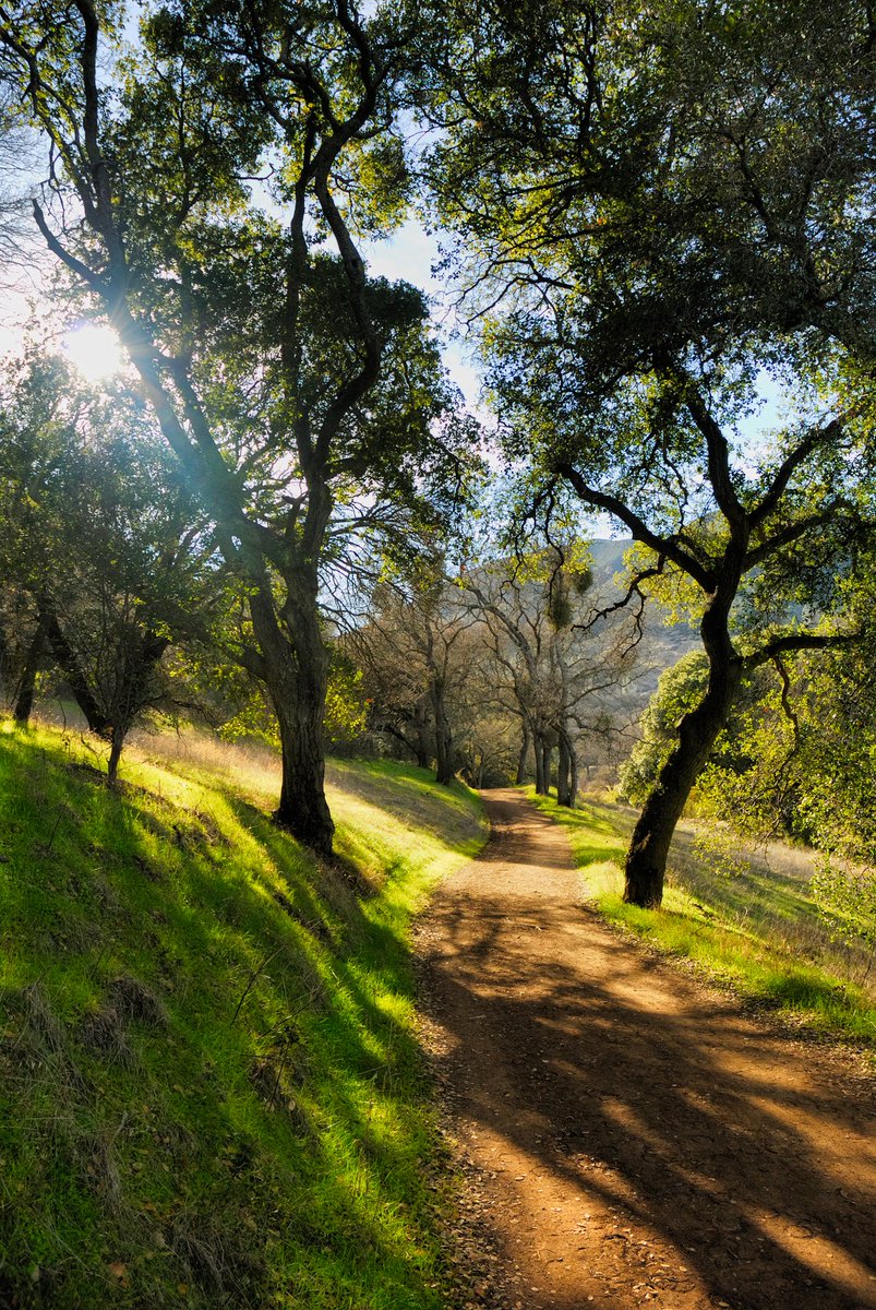 Justastateofmind Photography tweet media