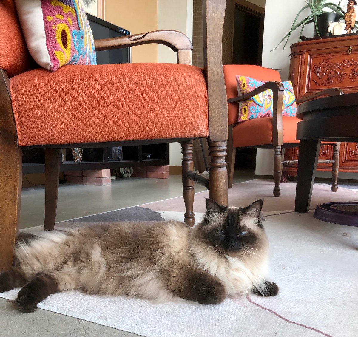 Ms. Wellington says It’s Friday and time for all of us to rest up for the weekend.