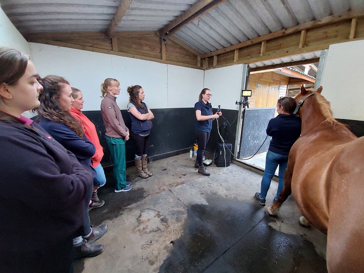 BritishVets's tweet photo. Great to see photos from this week's equine endoscopy #YoungVetNetwork event in Wales.

Do you want to join your local #YVN group? Head to to https://t.co/DiZGxdvIQr to sign up to one near you. Don't see a group near you? Contact yvn@bva.co.uk and we will help you set one up! https://t.co/3pDoOIu5YH