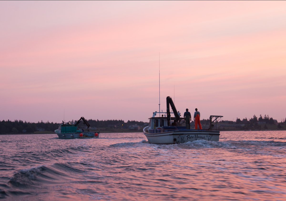 PEIMussels's tweet photo. Those early morning 'office' views sure are hard to beat! 🌊⚓️

#PEIMussels #PEI #musselfarming #PEISeafood https://t.co/WwEN3IBI6d