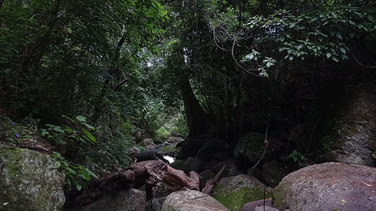Trágame tierra y sácame allaaá... en la 📍 Poza Azul de San Nicolás de Estelí 

Nuestra #Nicaragua 🇳🇮 y sus paisajes de ensueño... Única y Original... 

‼️C O N O C E L A‼️

#UnidosEnVictorias #FuerzaDeVictorias 
<a href="/QuenriM/">QuenriⓂ️</a> <a href="/FloryCantoX/">Flor y Canto 🇳🇮</a> @HereniaCaceres
