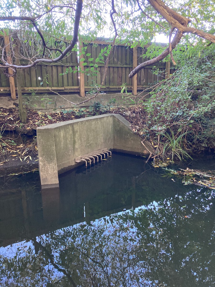 Tune in to BBC Radio 4's PM show at 17:00 today to hear me splash around in Owler Beck and talk about #waterquality #riverhealth and @Riverflies 
@RiverCalder