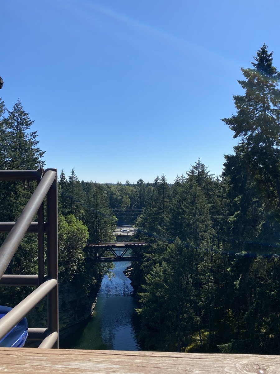 PhilHoganCPA's tweet photo. Beautiful views from WildPlay in Nanaimo last weekend.
#nanaimo #BC #wildplay https://t.co/7mDpkqO0Ay
