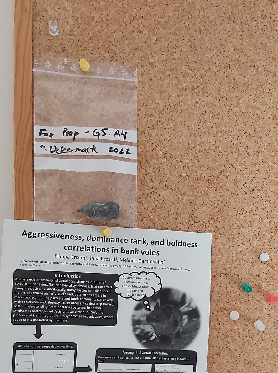 Filippa Erixon tweet media