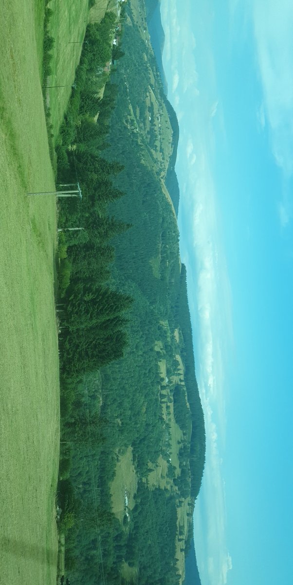 NotShadow90's tweet image. 🌲