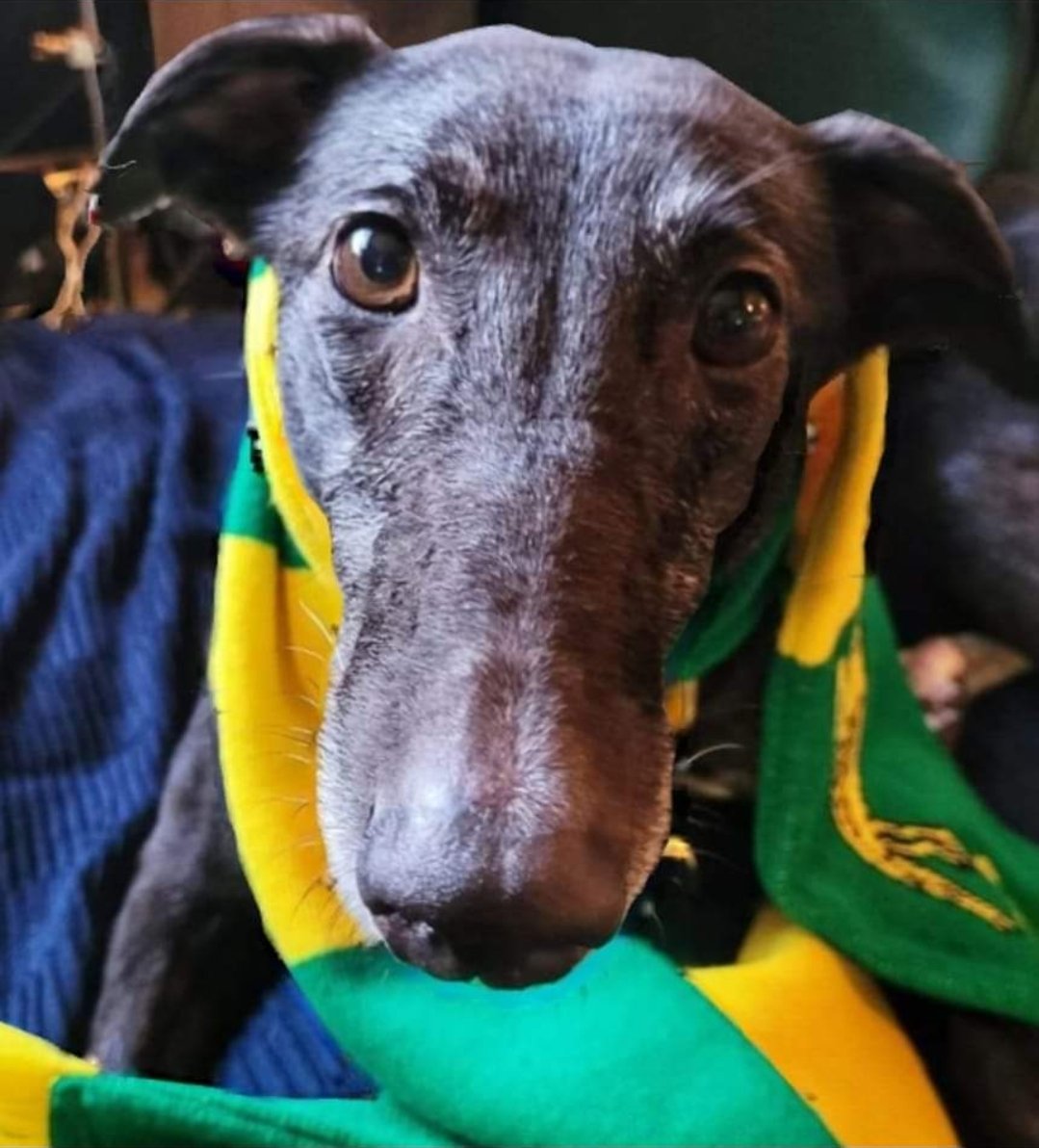 The Rose Pub & Deli tweet media