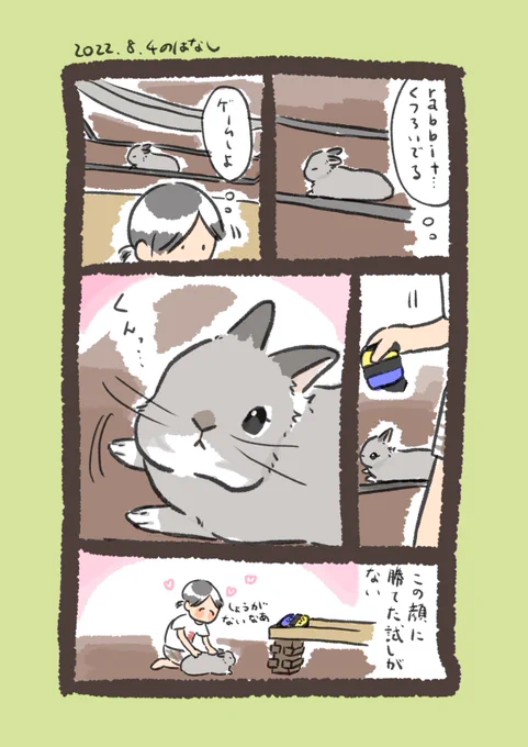 昨日のrabbit…と今日のrabbit…
#うさぎのいる生活 