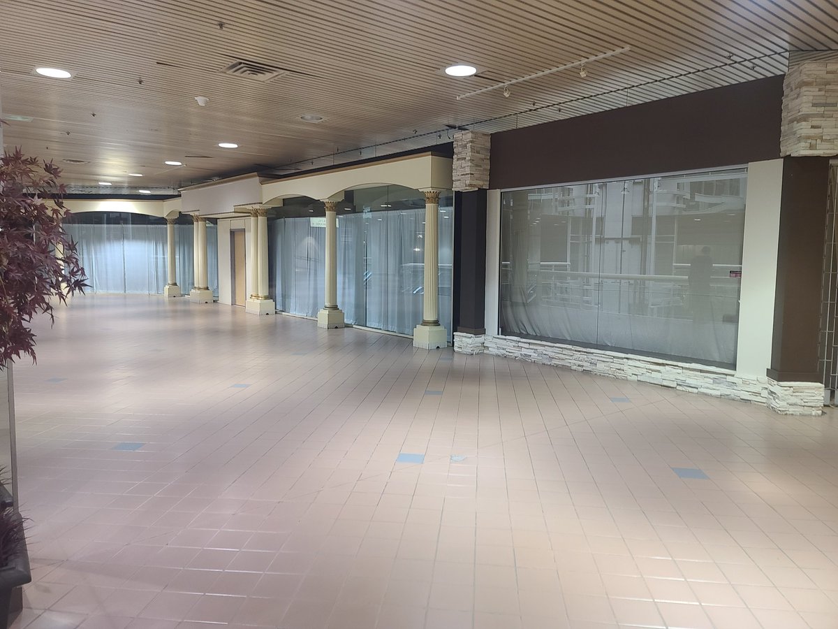 Don Darling tweet media