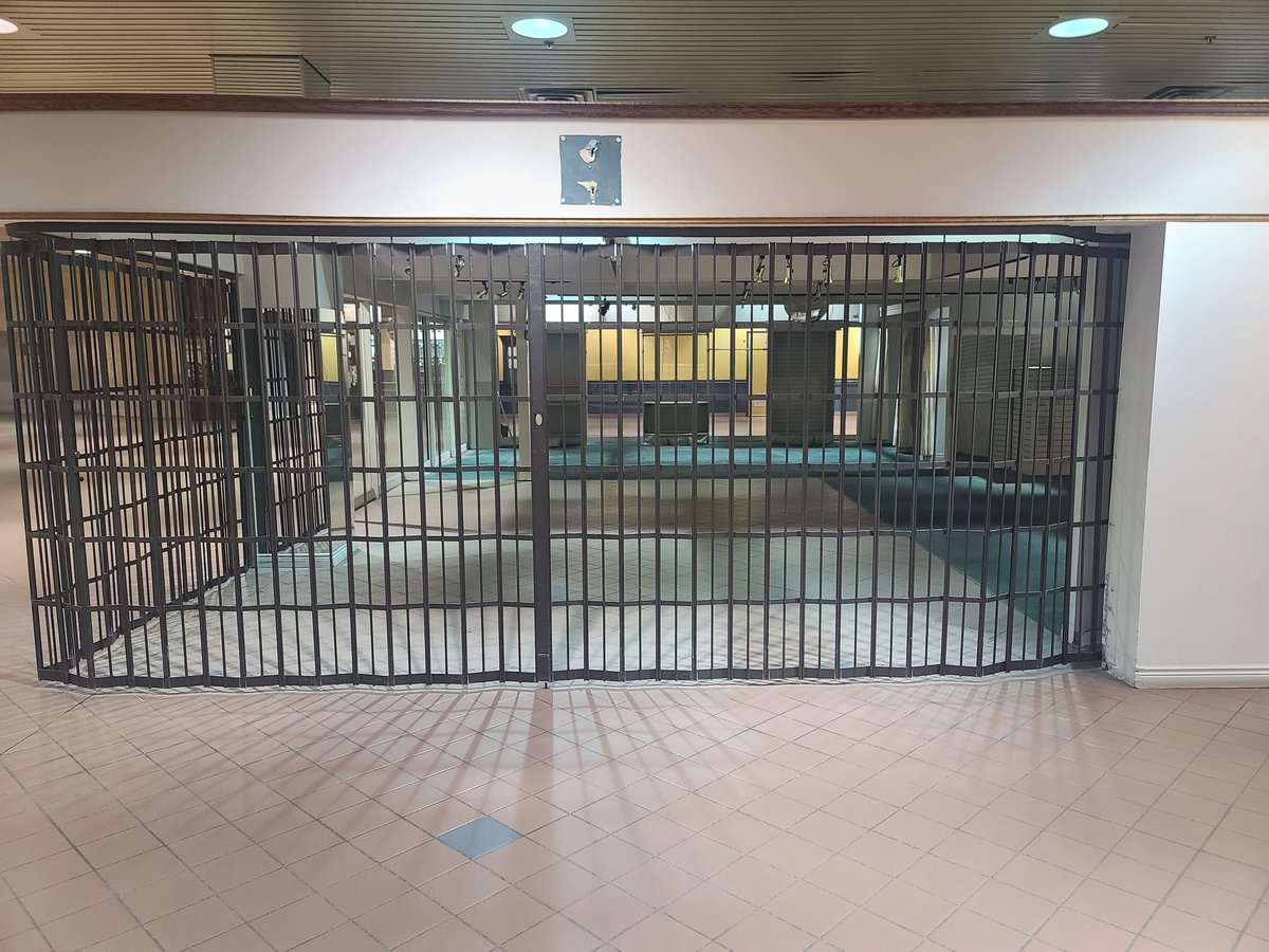 Don Darling tweet media