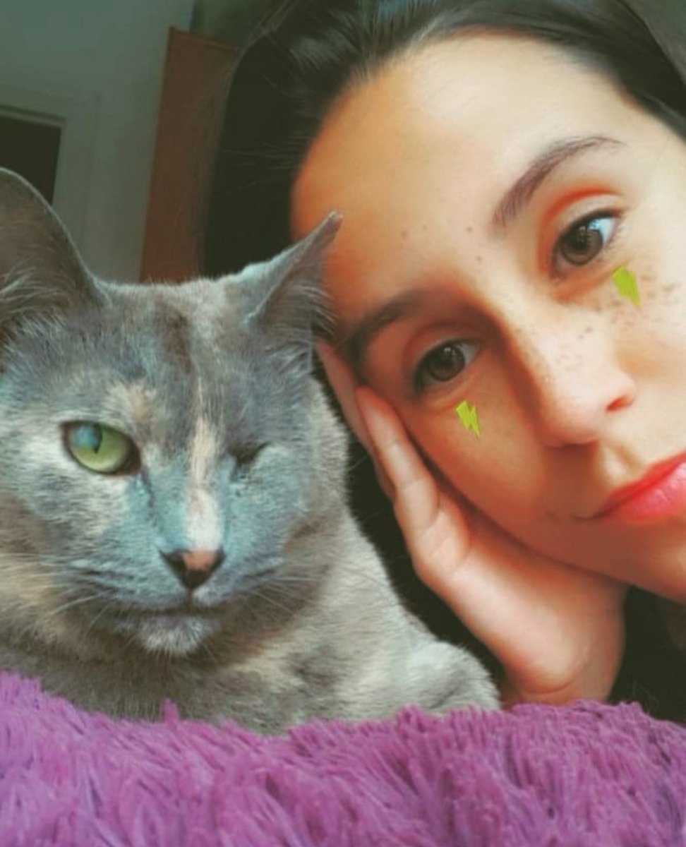 Sthigia's tweet photo. @Flexispot_ES Pues aqui estamos tan panchas las dos #FlexiSpotES #Flexicats @AmadorRG @ManoliGarrido3 https://t.co/u1FmKuAZns