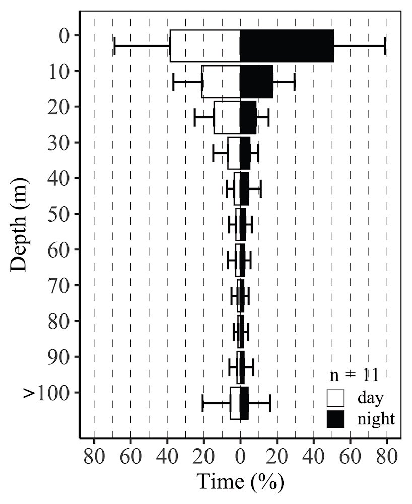 Wooohooo our paper is out on the vertical space use and thermal range of the great hammerhead in the western North Atlantic 😊 onlinelibrary.wiley.com/doi/10.1111/jf… they do like that shallow warm water 🔥 75% of records <30m &amp; 89% (23-28 degrees C)