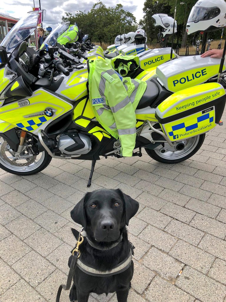 Congratulations to our working brothers PD Lazer & Teddy on completing their Motorbike course! Just don't tell @polscotrpu they borrowed their bikes! #CommonwealthGames2022 #nationalmotorcycleunit 🐶🐾