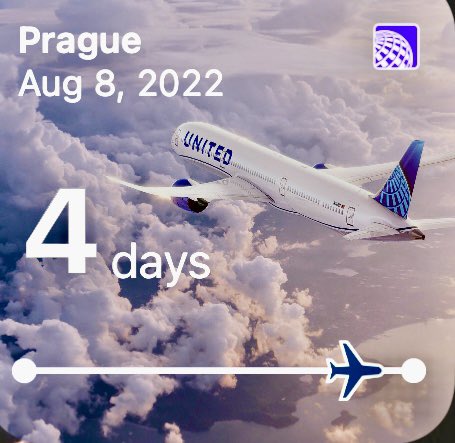 Rose Mantle tweet media