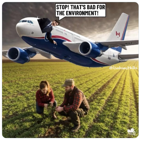 lisahsmithlhs tweet media