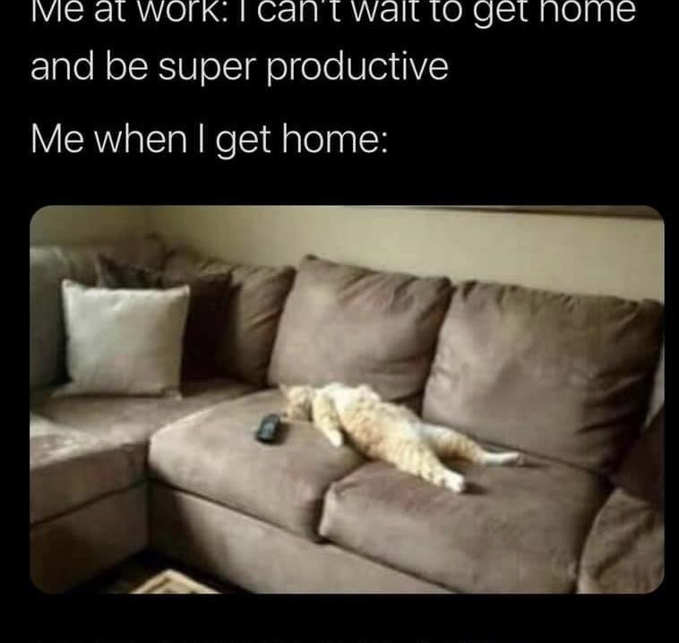 callulathebun's tweet photo. @memesiwish https://t.co/lo6UjdRO02