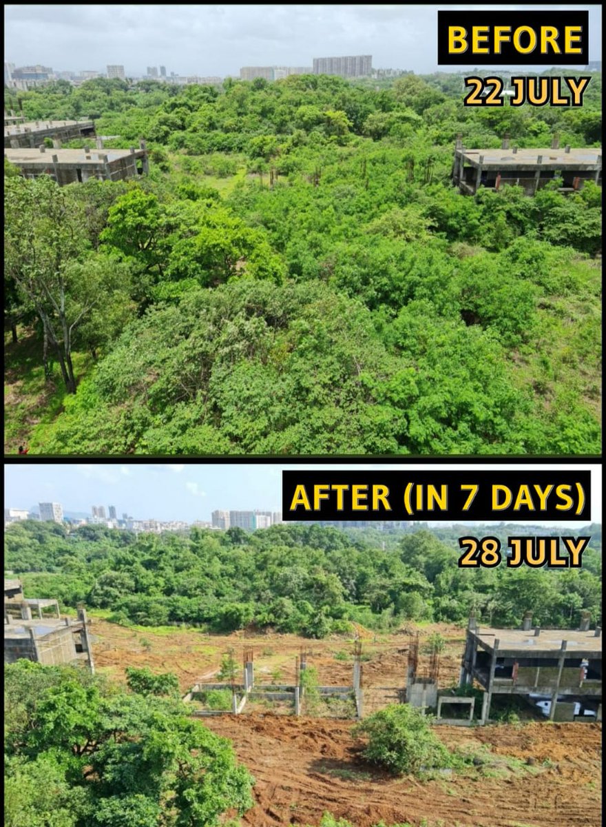 zoru75's tweet photo. The trees in MMRCL's own Miyawaki Forest have grown into a 15-20 feet high dense forest, in last 1 year 

But, according to them, in the real Forest, only bushes have grown over last 2.5yrs

Shame on @MumbaiMetro3 &amp; @Dev_Fadnavis Govt for lying thru their teeth!
Shame!!! https://t.co/K8YNCDhgs4