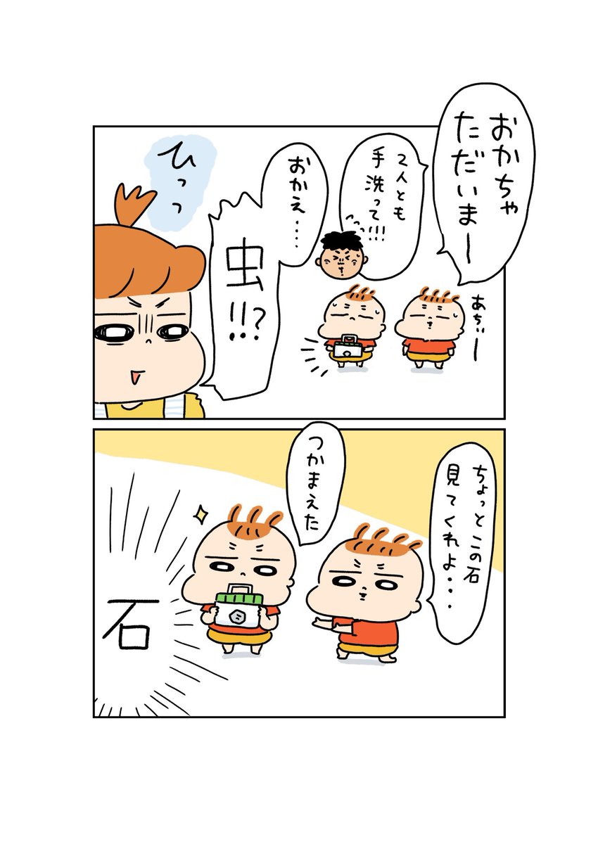 野生の石👶👶 