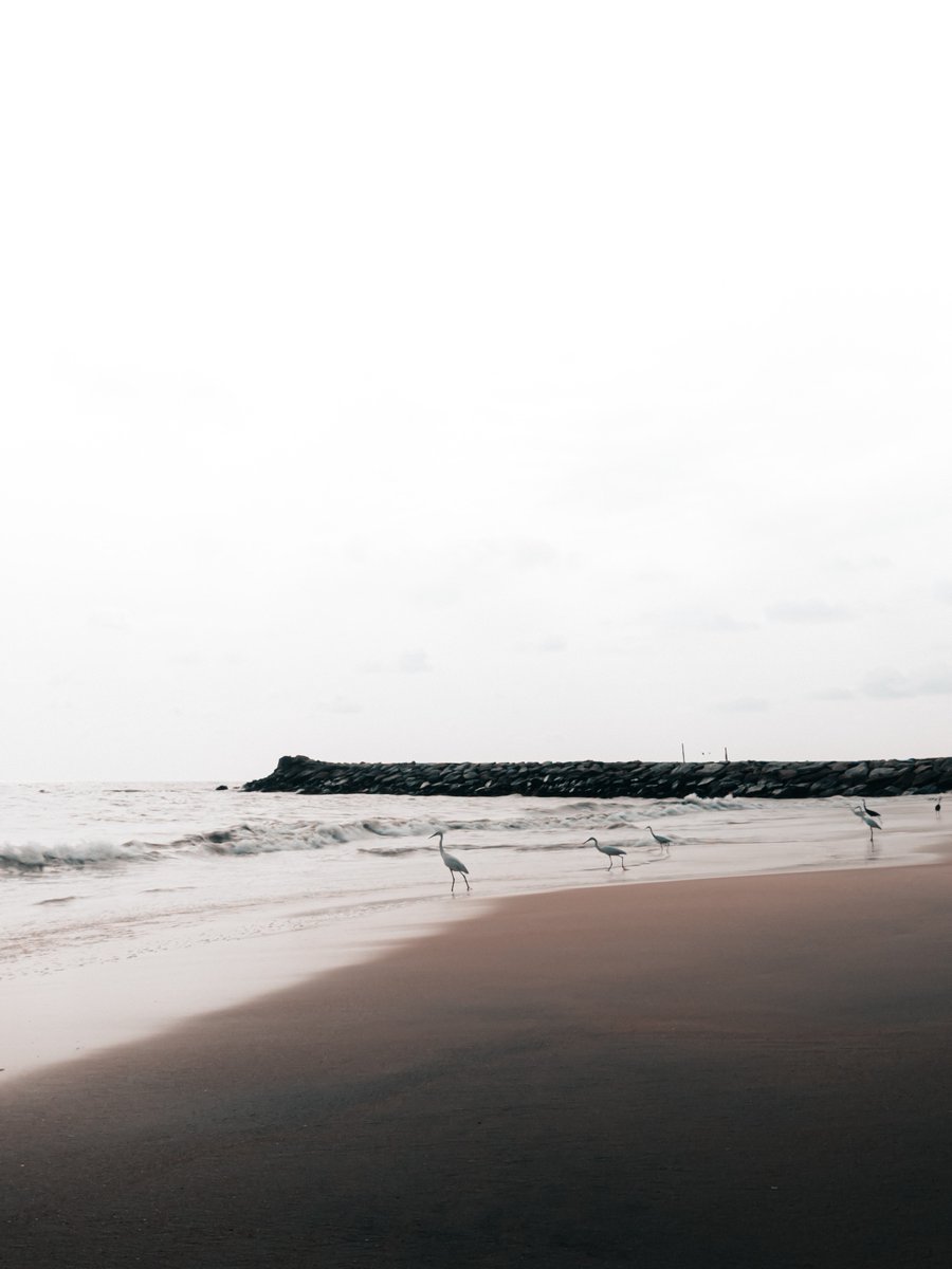 KeralaTourism's tweet photo. Some Friday vibes from us to you ✨

📍 Kappad  

📸 Edwin Tony James 

#Beach #PackUpForKerala #KeralaTourism https://t.co/NdLMLhoYwq