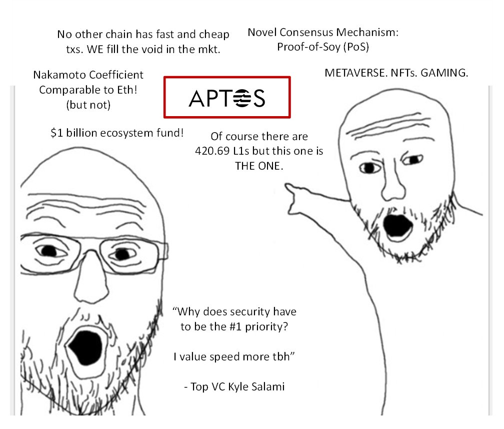 Live shot of VCs funding the 420.69th Layer 1...