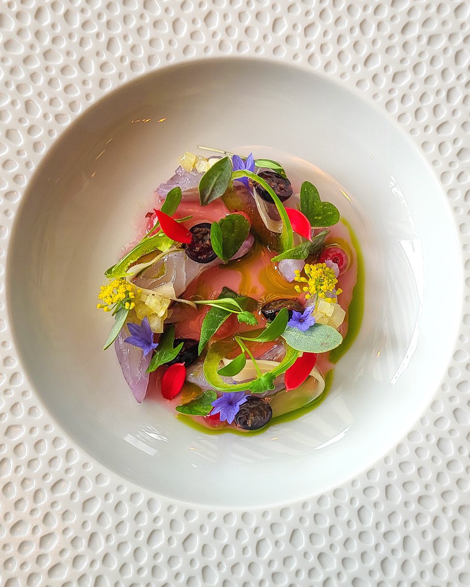 DelahuntCamden's tweet photo. Sea bream, blackcurrant, fennel.

 #dublinfood #dublincity #igersdublin #lovindublin #documentdublin #lovedublin #discoverdublin #thedublinbible #instaireland #picturethisdublin #visitdublin #dublinrestaurant #dublinrestaurants #delahunt #dublinbar https://t.co/YcgEyiUTEI
