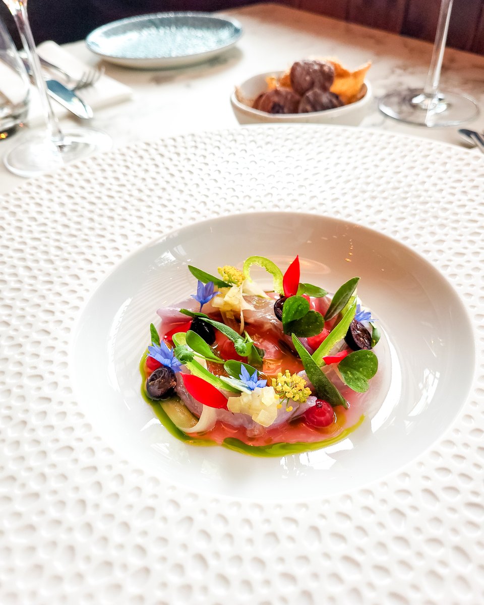 DelahuntCamden's tweet photo. Sea bream, blackcurrant, fennel.

 #dublinfood #dublincity #igersdublin #lovindublin #documentdublin #lovedublin #discoverdublin #thedublinbible #instaireland #picturethisdublin #visitdublin #dublinrestaurant #dublinrestaurants #delahunt #dublinbar https://t.co/YcgEyiUTEI