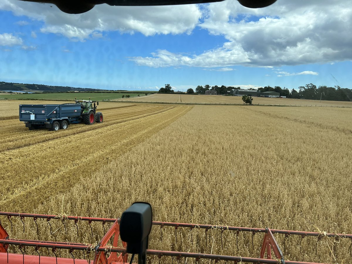 Cruising through Oats