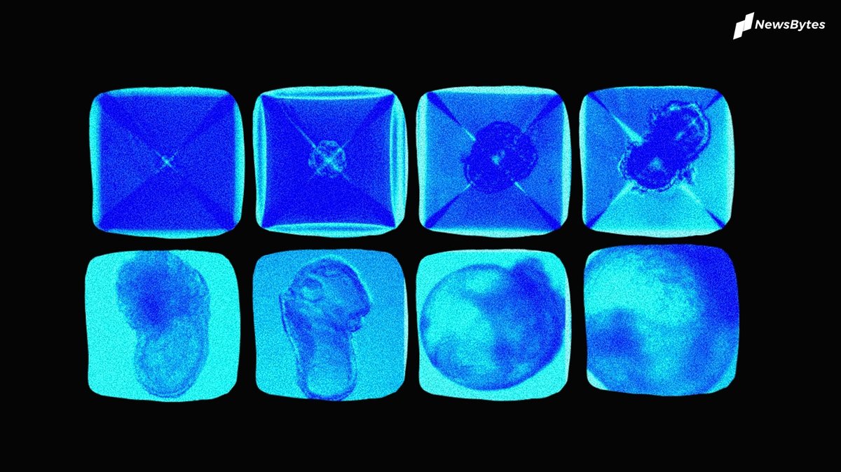 In a major breakthrough, a group of scientists has managed to redefine the boundaries of biology with the world's first "synthetic embryos." These synthetic embryos (sEmbryos) were created by scientists from the Weizmann Institute using stem cells of mice.
newsbytesapp.com/news/science/s…
