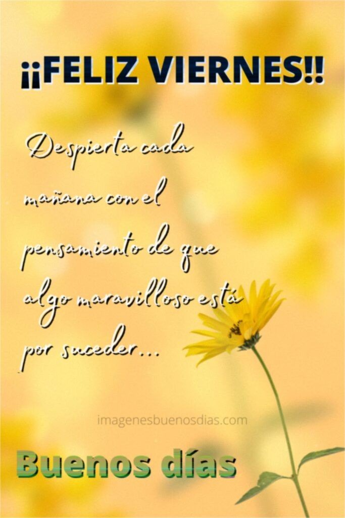 frases de buenos días viernes Imágenes Top imagen viernes imagenes de buenos dias