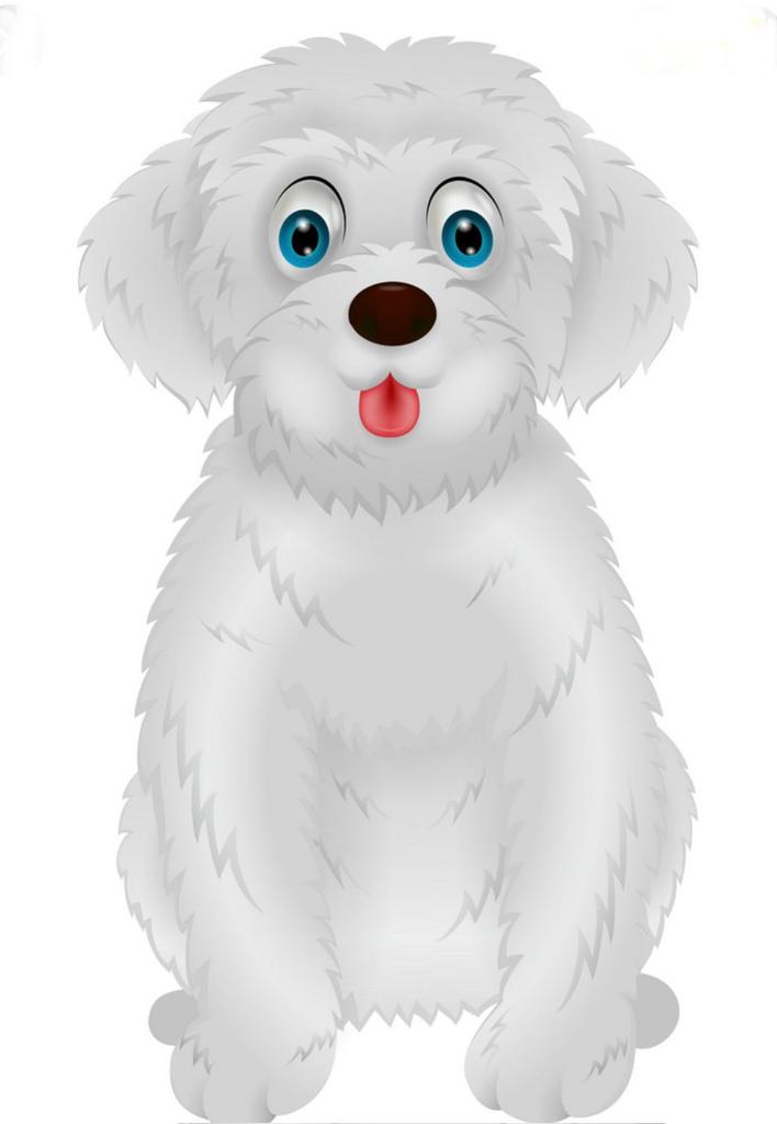 The First Particpant Of Uzbek Fest is Uzbek Dog