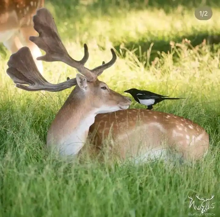 Kazi Motin (@kazimotin6) on Twitter photo 