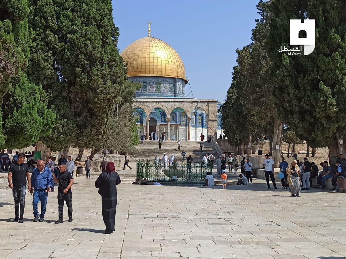 PalestineUrdu_'s tweet photo. قبلہ اول مسجد اقصی میں نماز جمعہ سے پہلے کے مناظر https://t.co/uv2XMv27KR