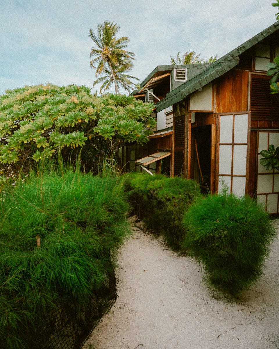 TheOgach's tweet photo. I miss Moorea 😢 https://t.co/I4LfUMIwoL