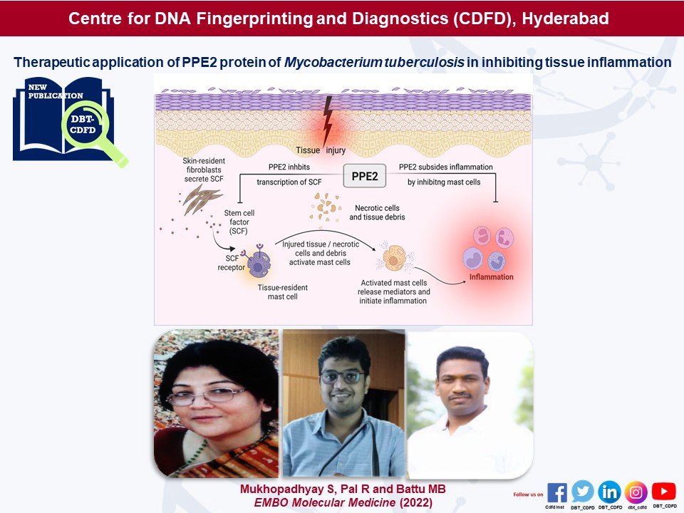 BRIC_CDFD's tweet photo. #NewPublication by Dr. Sangita Mukhopadhyay and team (Laboratory of Molecular Cell Biology)  entitled "Therapeutic application of PPE2 protein of Mycobacterium tuberculosis in inhibiting tissue inflammation published  in the journal @EMBO Molecular Medicine. https://t.co/oljD6ik74b