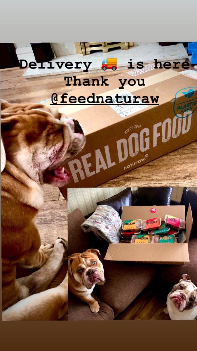 patrycjusz_klus's tweet image. We use @feednaturaw every ten days for our three english bulldogs.The bulldogs boys are very happy.This is very good quality of food.We spend £220 every month just it’s worth it ‼️
#rawvolution #realdogfood @feednaturaw #plasticfree #voucher #freefood #discount @patrycjusz_klus