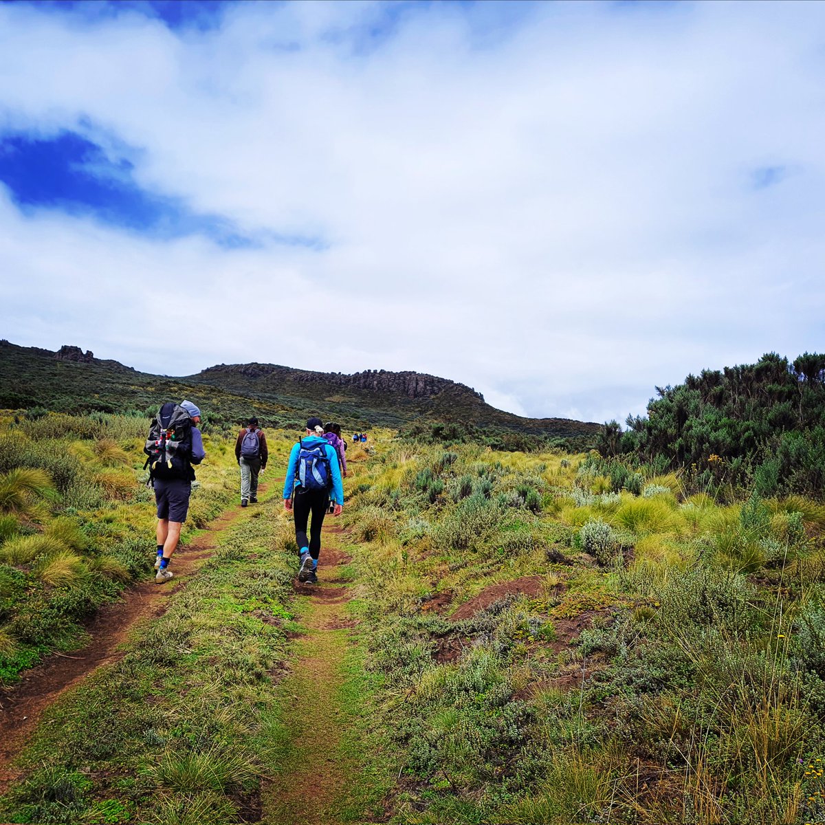 ga_thuita's tweet photo. One step, two steps, repeated steps.
To the #summit .
#hikersarena #getinthearena #hiking #nature #mountains #adventure #travel #naturephotography #hikingadventures #landscape #outdoors #trekking #photography #wanderlust #hike #explore #naturelovers #mountain #outdoor https://t.co/8YWxCpr63Z