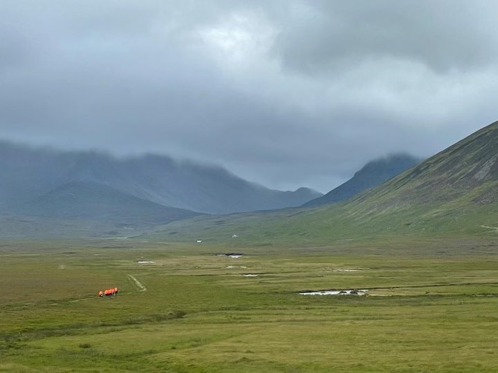 EDC Outdoor ED tweet media