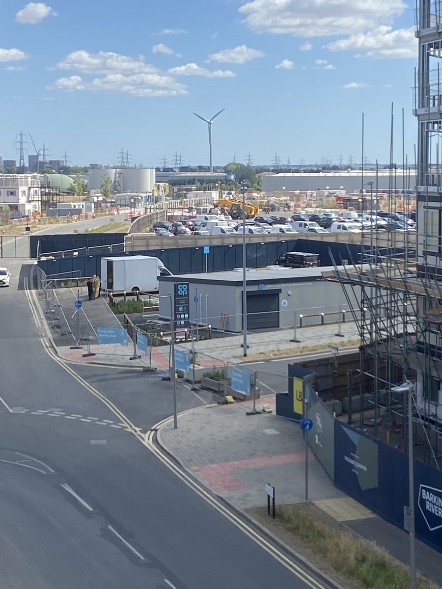 Stacey 💛🧣 tweet media