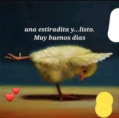 stephanycitlal1's tweet photo. @OyeElDebraye @Oye897
@PonchoYezka @pao_sasso
@maniaticosdeoye
#ComoCrees que no te voy a dar los buenos días cosa bella https://t.co/hUreBnubcq