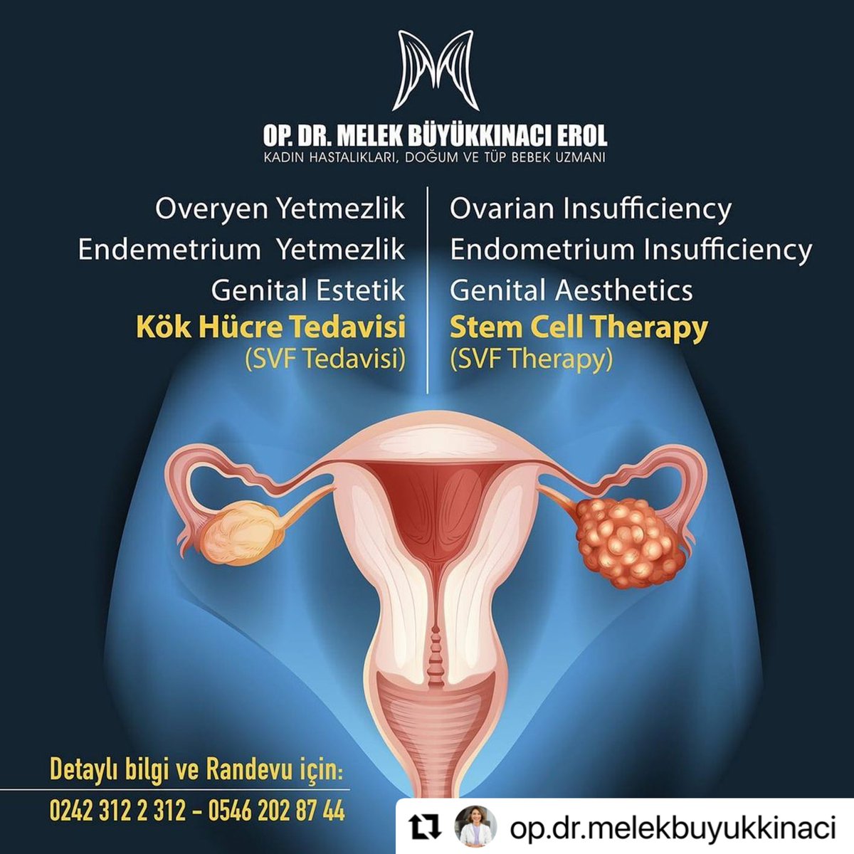 Kliniğimizde son teknoloji cihazlarımız ile hastalarımıza jinekoloji alanında kök hücre tedavileri uygulamaktayız 🎀
.
Detaylı bilgi ve randevu için;
📞05462028744
📞02423122312

#kökhücretedavisi #kökhücre #gebelikistiyorum #antalyakökhücre #antalya #antalyakökhücretedavisi