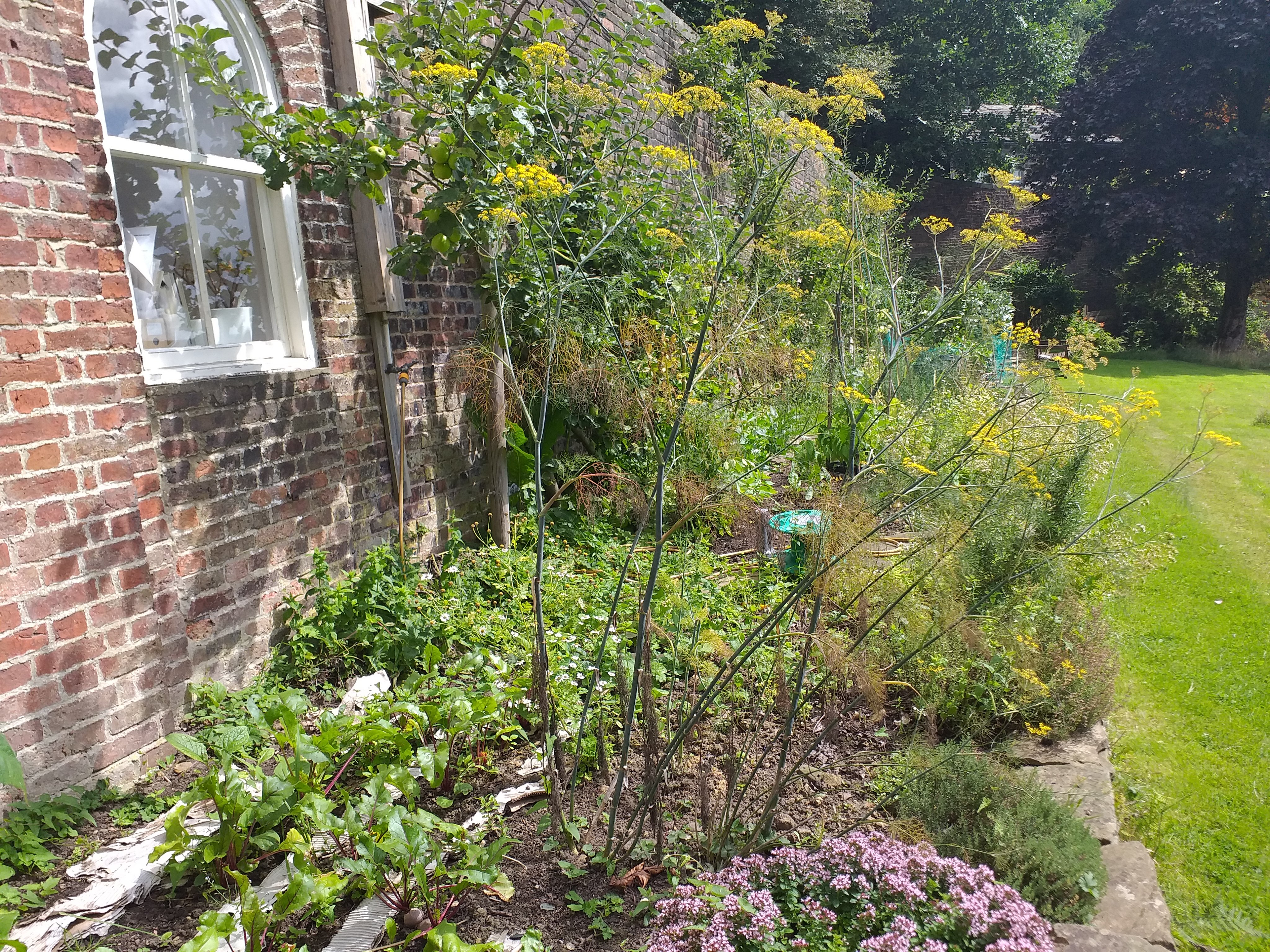 Hideko Sueoka 末岡 秀子 Hidekosueoka Twitter