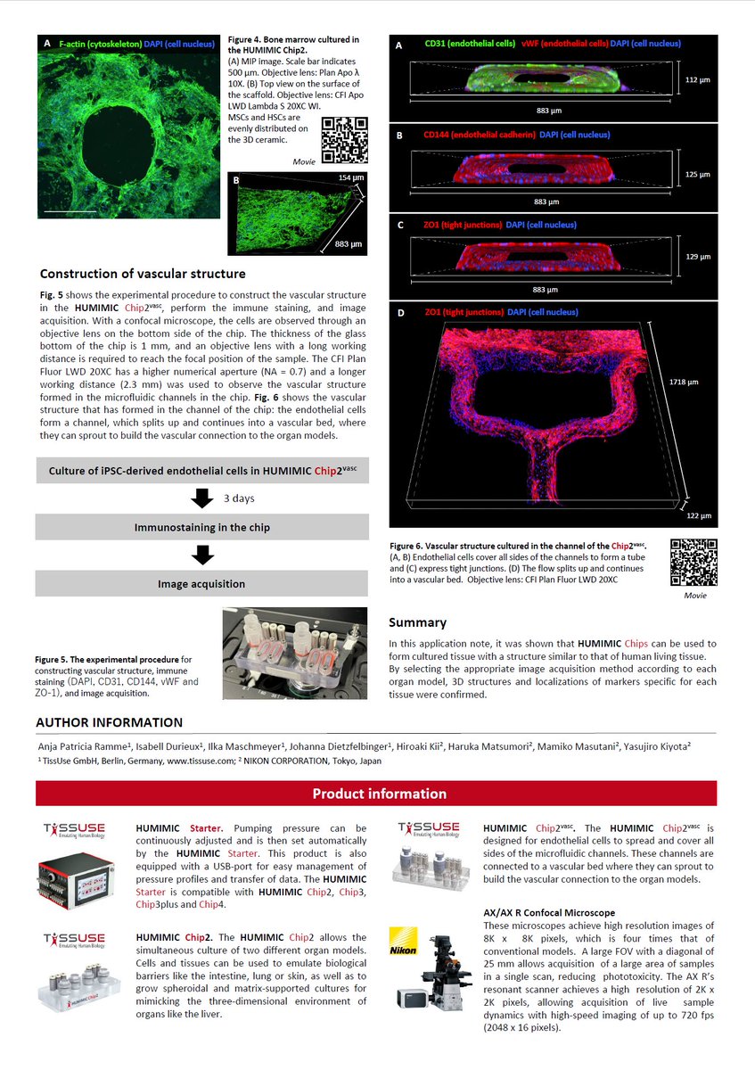 Complex 3D tissue models are calling for high-resolution confocal microscopy and therefore we have recently partnered with Nikon Corporation <a href="/NikonInst/">Nikon Microscope Solutions</a>. By that, Multi-Organ-Chip services are complemented with imaging and analysis services.
Appl.note: tissuse.com/files/upload/p…