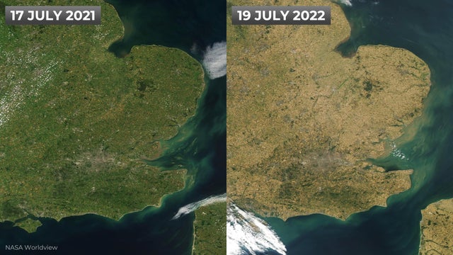 Stark images show worrying extent of UK's drought conditions